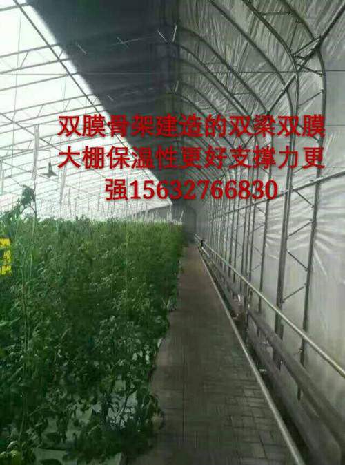 大棚11.jpg