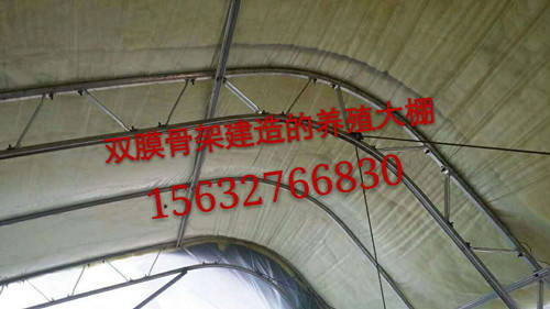 大棚3.jpg