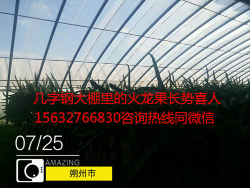 几字钢棚5.jpg