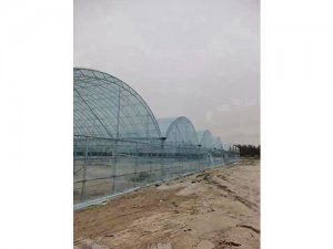 双膜棚建设