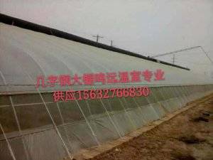英媒称中国想方设法消化玉米库存：可做成温室大棚薄膜